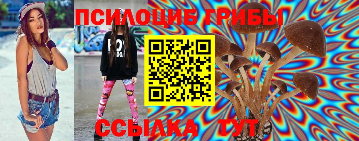 Псилоцибиновые грибы Psilocybe  Вход с VPN  даркнет сайт  Элиста 